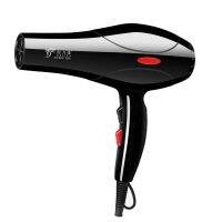 2200w Negative Ion Hair Dryer Professional Blue Light Anion Blow Dryer Salon Hair Styling Hairdryer 2 Speed 3 Heat Settings#g4