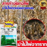 รากเน่ารากไม่ขึ้นอีก ยาฆ่าไผ่ 500g ยาฆ่าไม้ไผ่ ฆ่ากอไผ่ตายยันรากได้ผล 100% เกรดดีที่สุด สารกำจัดกอไผ่ กำจัดไผ่ได้ทุกสายพันธุ์ ไม่ทำให้ดินเสีย ใส่ปุ๋ยทีละต้น ง่ายต่อการใช้ ผงกำจัดกอไผ่ รากเน่ารากตาย แก้ได้ครั้งเดียว กำจัดกอไผ่ ผงฆ่ากอไผ่ ยาฆ่าต้นไม้