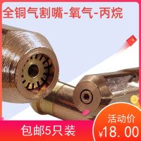 [Fast delivery] Acetylene cutting nozzle gas cutting nozzle propane cutting nozzle manual gas cutting nozzle oxygen nozzle type 30 type 100 free shipping Durable and practical