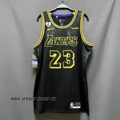 Los Angeles Lakers LeBron James #23 Association Swingman Jersey in 2023