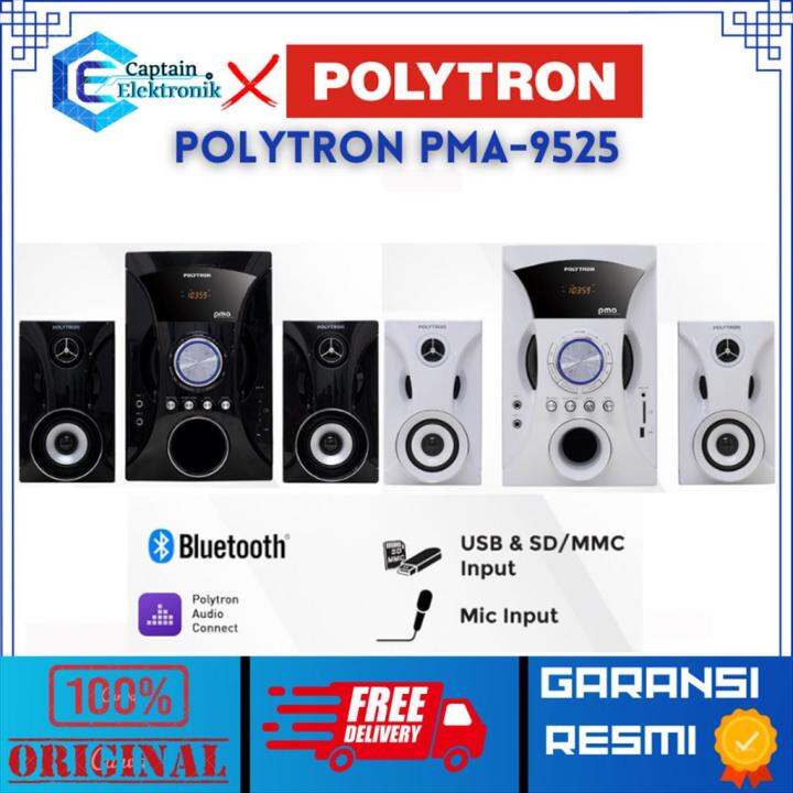 POLYTRON Multimedia Speaker PMA-9525 / PMA 9525 / PMA9525 Original ...