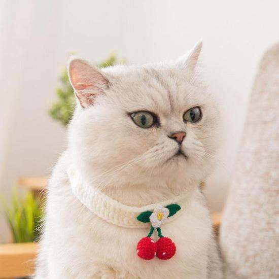 Dfsid dễ dàng mặc mùa đông dễ thương dệt kim handmade điều chỉnh kitten - ảnh sản phẩm 1