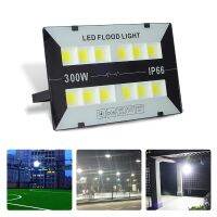 SmartPhonemall 300W 6500K Cool White LED Waterproof Flood Light