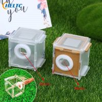 【CW】ↂ  1Set Transparent Ant Activity Area Test Tube Connection Feeding 2size  Caliber