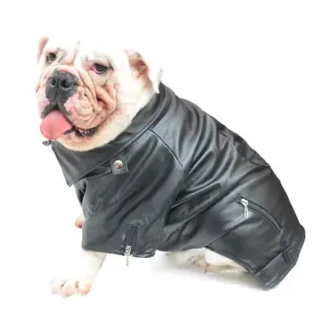 American bully outlet jacket