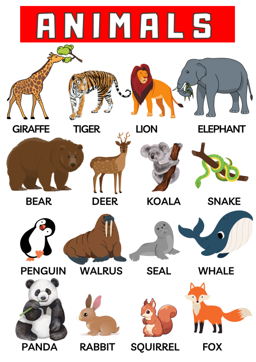 Wild Animals Name Teaching Chart