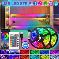 Led Ribbon 10M Usb Led Strip For Tv Backlight 5V Led Lights For Room Decor Colorful 5050 Smart Rgb Tape Bluetooth App Bar Lamp LED Strip Lighting