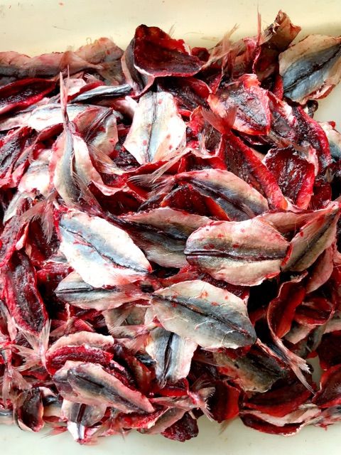 ปลาทูมะลิ-ปลาทูหวาน-ถูกที่สุด-500-กรัม