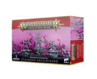 [GWพร้อมส่ง]Warhammer: AOS: Tzeentch Arcanites Tzaangor Enlightened  โมเดลเกมสนามจำลอง