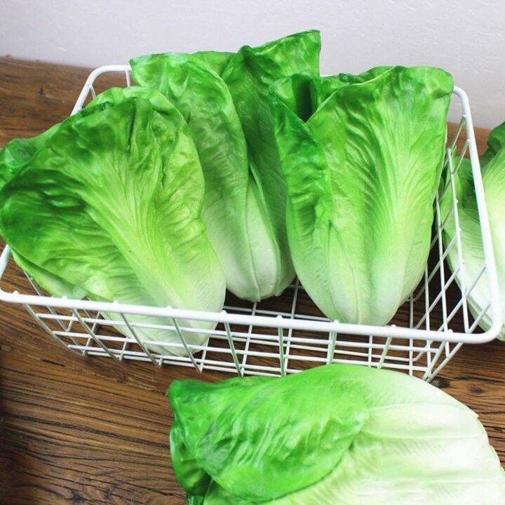 XINGSTARS Simulation Fake Decorative Lifelike Realistic Artificial Lettuce Model Vegetable Model