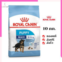 ?จัดส่งฟรีๆ Royal Canin ลูกสุนัข สูตร Maxi Puppy ขนาด 10 กิโลกรัม เก็บเงินปลายทาง ✨