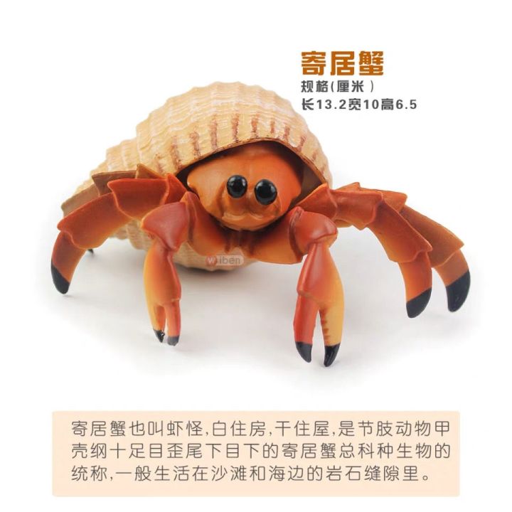 simulation-model-of-marine-sea-creatures-toy-animals-crab-male-hermit-crab-children-girl-birthday-gift