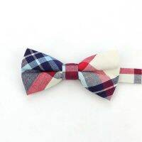 Plaid Stripted Men Children Bow Tie Set 100 Cotton Kids Pet Butterfly Daily Casual Party Bowtie Gift Crave Father Son Accessory