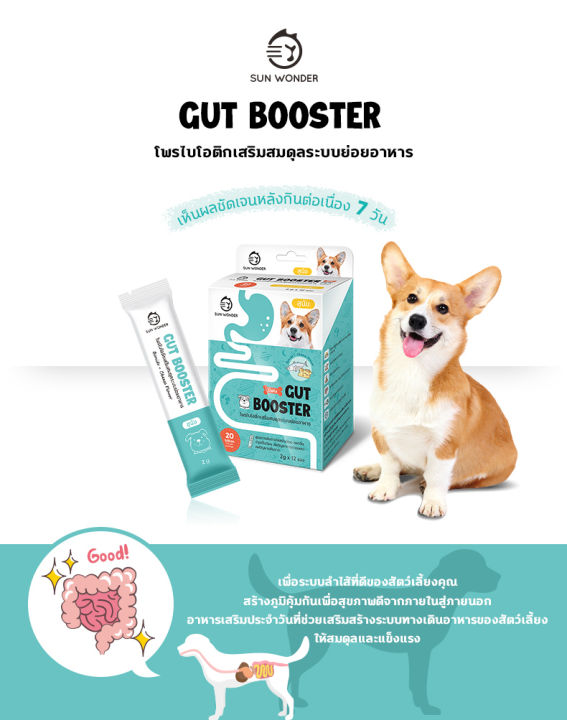 sun-wonder-gut-booster-6-ซอง-เสริมสมดุลระบบย่อยอาหารเสริมสุนัข-ปรับสมดุลลำใส้-เสริมสร้างภูมิคุ้มกันที่ดี-อาหารเสริม
