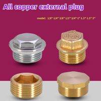 1/8" 1/4" 3/8" 1/2" 3/4" 1" - 2" Male Female Thread Brass Pipe Hex Head External Plug Water Heating Pneumatic Copper Accessories Pipe Fittings Accesso