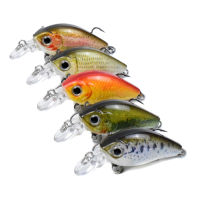 GoGo Out 5Pcs เหยื่อตกปลาชุด Hard Body Lures Treble Hook Life-Like Swimbait เหยื่อตกปลา3D ตาเหยื่อประดิษฐ์ Crankbait พร้อมกล่อง