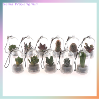 Senia น่ารักแคคตัสขนาดเล็กฉ่ำ cacti Terrarium Wearable สร้อยคอสด