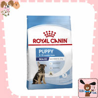 Royal Canin petshop Maxi puppy อาหารสำหรับลูกสุนัขพันธุ์โต อายุตั้งแต่ 2-15 เดือน