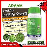 ?วัชพืช? มายอรัล ADAMA อดามา ขนาด 250 ml. กำจัดวัชพืชทั้งใบแคบ ใบกว้าง และวัชพืชปราบยากโดยเฉพาะ หญ้าแห้วหมู หญ้าโขย่ง ฆ่าหญ้า