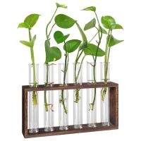 【LZ】❁  Planta Terrário com Suporte De Madeira Desktop e Parede Pendurada Estação De Propagação De Plantas Ao Vivo Plantadores Tubos De Vidro Hidropônico