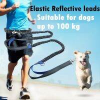 3 colors Dogs Leash Harnesses Outdoor Running Elasticity Hand Freely Pet Dogs Harness Collar Jogging Lead Adjustable Waist Rope