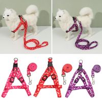 CBT 1PC Puppy Cat Walking Training Toys Leash Chain Flexible Retractable Dog Harness Traction Rope Dog Leash Lead Pet Collars