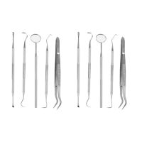 10 Pieces Set Stainless Steel Dentist Dental Care Cleaning Teeth Whitening Dental Floss Dental Hygiene Kit