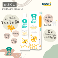 [100g.] ยาสีฟัน เดิมร์ เดิมร์ พรอโพลิส DERM DERM Propolis Plus+ ยาสีฟันสมุนไพรผสมโพรโพลิส ขนาด 100 กรัม