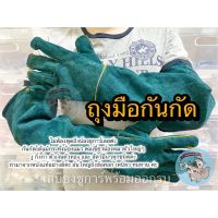 DOG V ( 60 ซม. ถุงมือหนังแท้ สีเขียว - LEATHER GLOVES ) ถุงมือกันกัด ถุงมือจับงู แมงมุม ถุงมือจับสุนัข ถุงมือป้องกันสัตว์กัด สายจูงสัตว์เลี้ยง