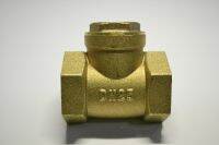 DN25 BSPP Swing Check Valve Prevent Water Backflow Golden