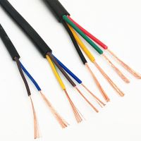 10Meter 26 AWG RVV 2/3/4/5/6/8/10/12 Cores Copper Wire Conductor Electric RVV Cable Black soft sheathed wire