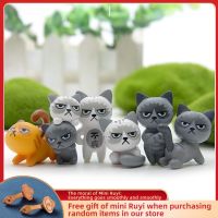 Cartoon Funny Cat Car Ornaments Micro Landscape Bonsai Decoration Desktop Creative Trinket Home Accessories Figurines