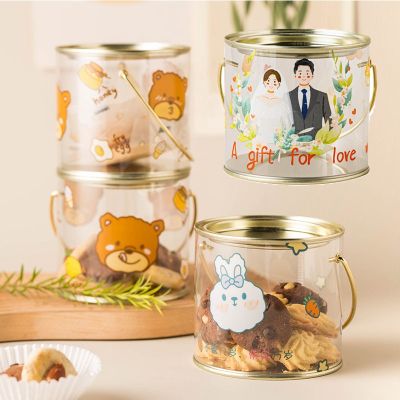 2 Pcs Biscuits Cookies Candy Packaging Box Candy Snowflake Crisp Cartoon Portable Transparent Iron Can Baking Dessert Sealing