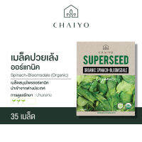 เมล็ด SPINACH-Bloomsdale (Organic) ปวยเล้ง