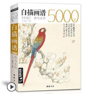 White drawing case 5000, Animal Birds Chinese mustard entry book classic line painting textbook