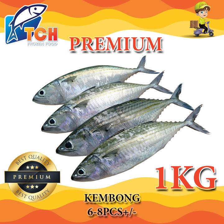 PREMIUM KEMBONG 6/8, PREMIUM INDIAN MACKEREL , TCH FROZEN FOOD, FRESH ...