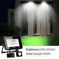 30วัตต์ LED Floodlight IP66กันน้ำ220โวลต์แสงกลางแจ้งน้ำท่วมไฟที่มี PIR Motion Sensor สปอตไลกลางแจ้งสำหรับสวนถนน