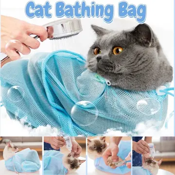 Cat bag sales lazada