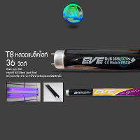 EVE หลอดนีออน ฟลูออเรสเซนต์ รุ่น T8 36w แบล็คไลท์ blacklight หลอดล่อแมลง จัดส่งทั่วประเทศ