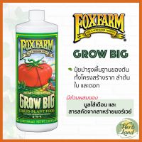 [ready stock]Fox Farm Grow Big (6-4-4) ขนาดแบ่งขาย 100/250/500ML ปุ๋ยนอก ปุ๋ยนำเข้า ปุ๋ยเมกา ปุ๋ยUSAมีบริการเก็บเงินปลายทาง