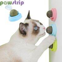 Catnip Licking Snacks Teeth Cleaning Removes Hair Nutrition Supplies