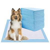 Dog Pee Pads, Disposable Dogs Training Potty Pads,Pet Training Pads Strong Absorption Floor Mat