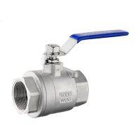 BSPT 1/4" 3/8" 1/2" 3/4" 1" 1-1/4" 1Female Stainless Steel S316 2P Full Port Ball Valve with Vinyl Handle Thread Valves