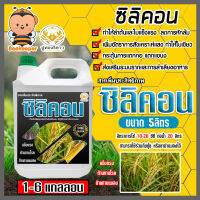 สารเพิ่มประสิทธิภาพ ซิลิคอน ชนิดน้ำ ขนาด 5ลิตร ตราปูทอง มีให้เลือก 1-6แกลลอน ช่วยให้ใบแข็งแกร่ง ทนต่อโรคและแมลง สำหรับนาข้าว กระเทียม หอม และพืชทั่วๆไป