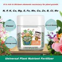 400G Thirteen Elements Plant Nutrition Grains Universal Flower Fertilizer Household Bonsai Compound Fertilizer For Home Garden