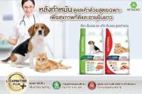 CAT n joy สูตร สำหรับน้องแมวทำหมัน รสแซลมอน ขนาด 1.2 kg