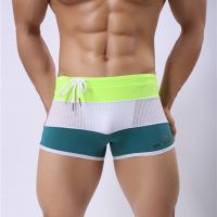 Men Swim Briefs Mesh Sexy Swimsuits Shorts Swimming Trunks Surf Board Beachshorts Gay Swimwear Low Rise Bathing Swimwear