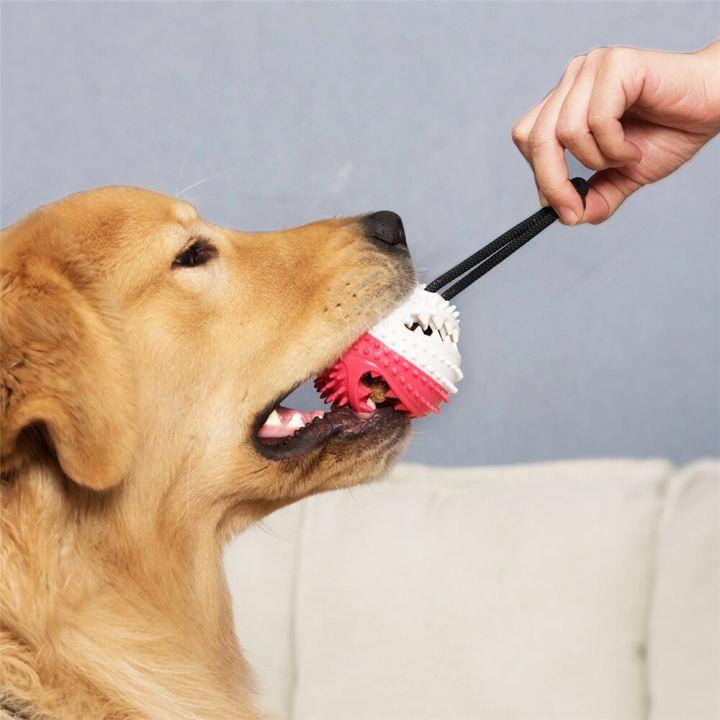 ลูกสุนัขเคี้ยวของเล่นลูกบอลเครื่องประดับสุนัขของเล่น-sikat-gigi-anjing-ยางยอดนิยมของเล่นปั๊กหมาฝรั่งเศสบูลด็อกอุปกรณ์ทำความสะอาดฟันสุนัข-kong-ของเล่น-yy-ร้านค้า