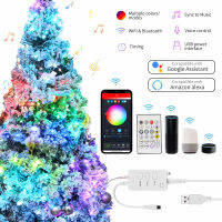 WIFI Bluetooth Smart LED String Light Remote With Assistant Alexa Smart Life 5M10M20M Chirstmas Holiday Fairy Lamp