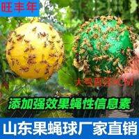 ♂ Citrus big fruit fly lure ball sticky insect board yellow melon paste needle bee trap orchard